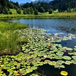 Am Kranzbach Fewo1 *